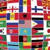 ماجستير في التسويق الدولي