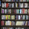 دكتوراه في علم المكتبات والمعلومات – المعلوماتية (نظام البحث)