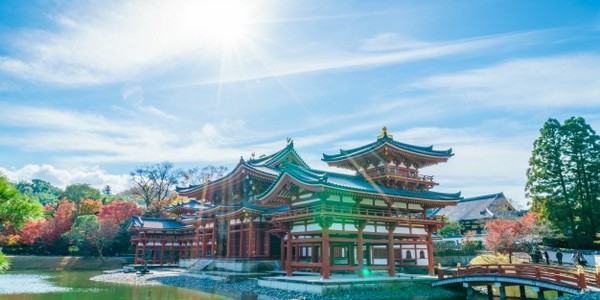 الماجستير في إدارة التراث والمحافظة عليه المتخصصة في استراتيجيات رعاية الطبيعة