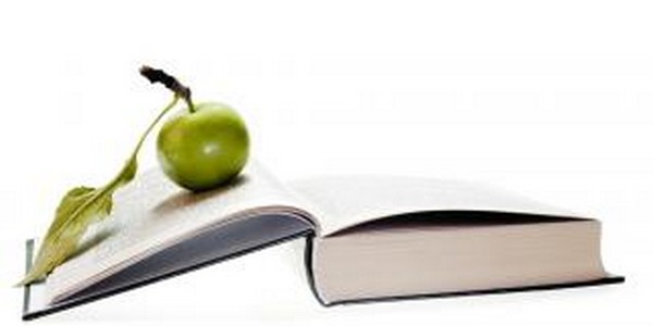 ماجستير العلوم في علوم وتكنولوجيا الأغذية (عن طريق البحث)