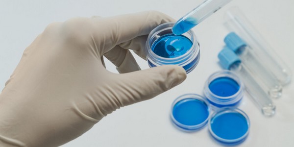 ماجستير في العلوم في البيولوجيا الجزيئية (عن طريق البحث)