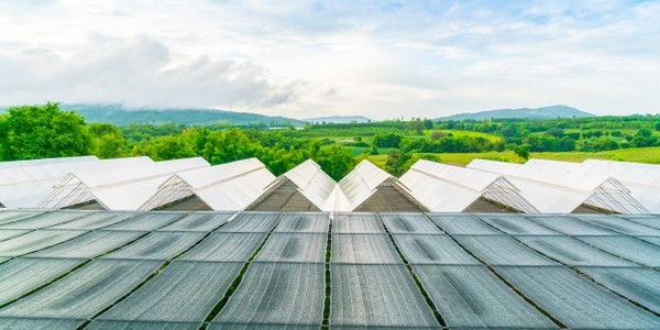 الماجستير في إدارة الصناعة  (عن طريق الدورات الدراسية)