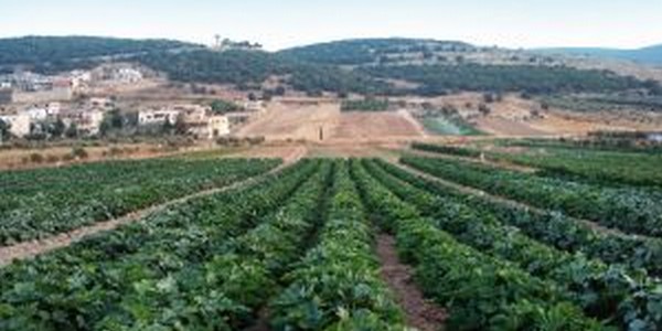 الدكتوراه في الهندسة الزراعية (عن طريق البحث)