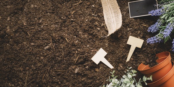 الدكتوراه في علوم التربة (عن طريق البحث)