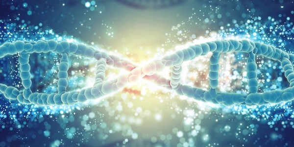 الدكتوراه في الهندسة الكيميائية (المفاعل الحيوي وهندسة الكيمياء الحيوية) (عن طريق البحث)