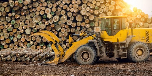 الدكتوراه في الهندسة الكيميائية (التجهيز النهائي للمواد الكيميائية) (عن طريق البحث)