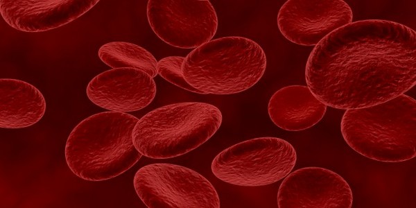 ماجستير في علم الأمراض (أمراض الدم)