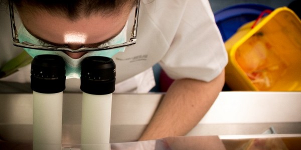 ماجستير في العلوم المتخصص في الصيدلة التعليم (عن طريق البحث)