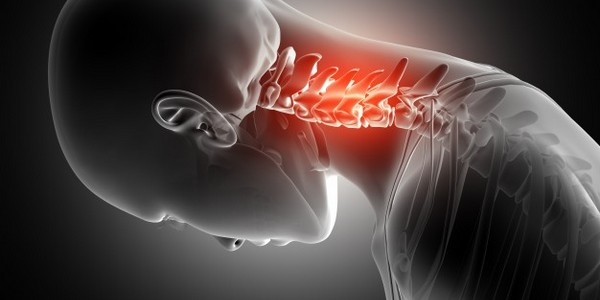 ماجستير في العلوم متخصص في علم وظائف الأعضاء (عن طريق البحث)