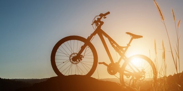 الدكتوراه في  (الرياضة والترفيه) المتخصصة في الترفيه والاستجمام (عن طريق البحث)