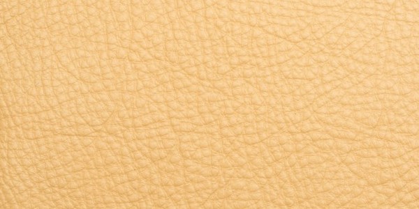 دكتوراه الفلسفة في هندسة الأنسجة (عن طريق البحث)