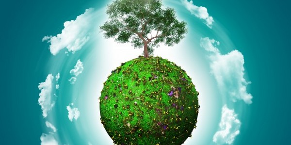 ماجستير في علوم الحياة