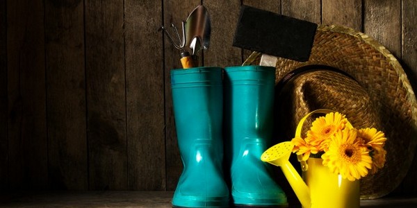 بكالوريوس العلوم البستانية