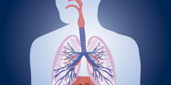 دكتوراه الفلسفة في علم وظائف الأعضاء البشرية عن طريق البحث