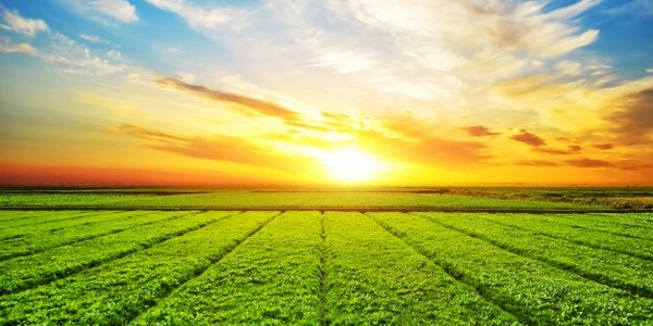 ماجستير العلوم في الدراسات الطبيعية عن طريق البحث