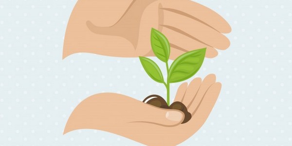 ماجستير العلوم في علم أمراض النبات عن طريق البحث