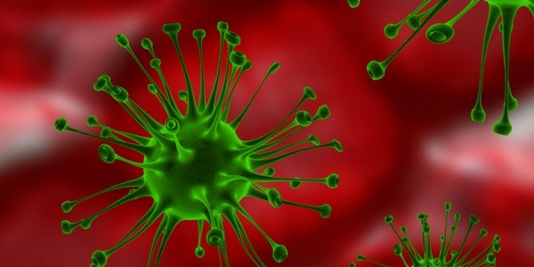 دكتوراه في علم الأوبئة والصحة العامة عن طريق البحث