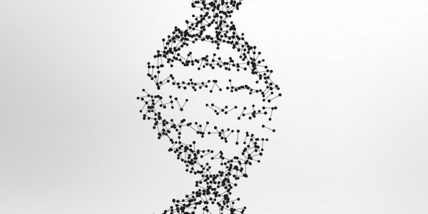 دكتوراه الفلسفة في التوالد البيطري والوراثة الخلوية عن طريق البحث