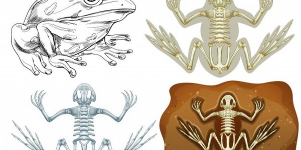 دكتوراه الفلسفة في الهندسة الجيوتقنية والجيولوجية عن طريق البحث