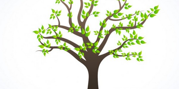 ماجستير في العلوم في الصحة البيئية عن طريق البحث