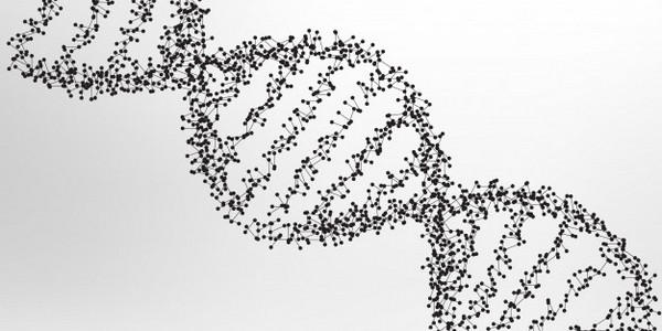 ماجستير العلوم في علم الوراثة البشرية عن طريق البحث