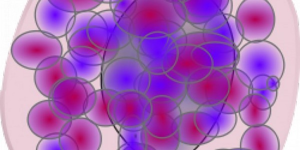 ماجستير العلوم في علم المناعة عن طريق البحث