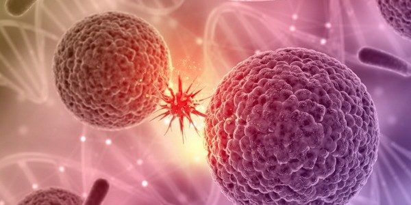 ماجستير العلوم في علم الأحياء الدقيقة الطبية عن طريق البحث