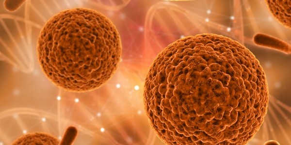 دكتوراه الفلسفة في علم الأحياء الدقيقة الطبية عن طريق البحث