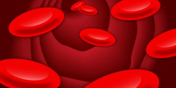 دكتوراه في أمراض الدم عن طريق البحث