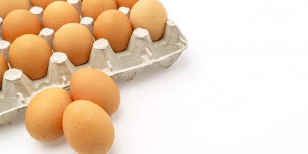 ماجستير العلوم في الإنتاج الحيواني عن طريق البحث