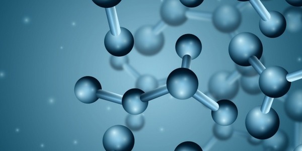 ماجستير العلوم في الكيمياء النباتية عن طريق البحث