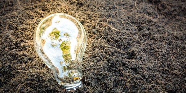 دكتوراه الفلسفة في   الإدارة عن طريق البحث