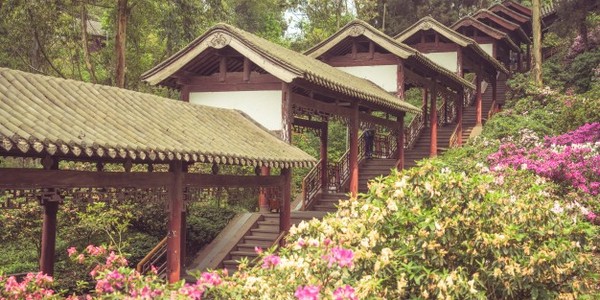 دكتوراه الفلسفة في التقدم الريفي عن طريق البحث