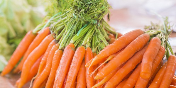 ماجستير العلوم في تكنولوجيا ما بعد الحصاد عن طريق البحث