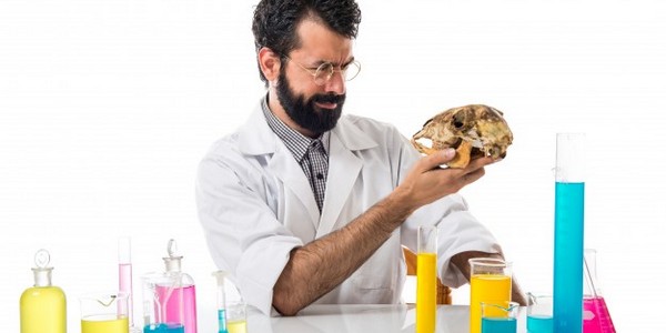 دكتوراه في التكنولوجيا الحيوية الحيوانية البحوث