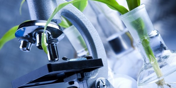 ماجستير في العلوم في المعلوماتية الحيوية وعلم الأحياء نظام عن طريق البحث