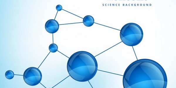 ماجستير العلوم في علم الأحياء الجزيئية والهندسة الوراثية عن طريق البحث