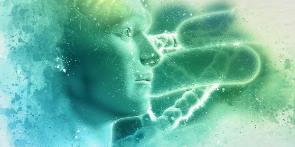 دكتوراه في المعلوماتية الحيوية وعلم الأحياء نظام عن طريق البحث