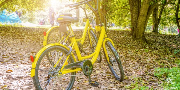 دكتوراه في التكنولوجيا الحيوية البيئية عن طريق البحث