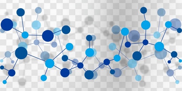 دكتوراه الفلسفة في علم الأحياء الجزيئية والهندسة الوراثية عن طريق البحث