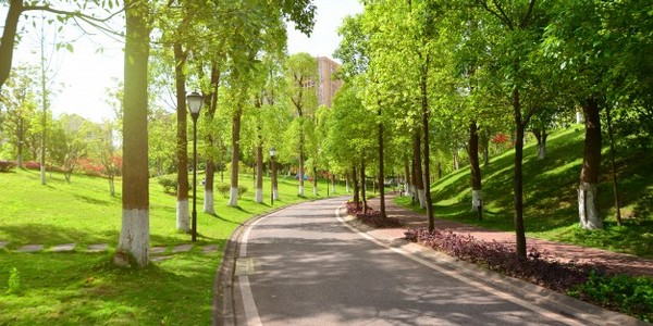 بكالوريوس في الحدائق والعلوم الترفيهية