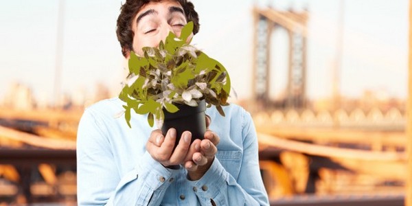 بكالوريوس في الإدارة البيئية