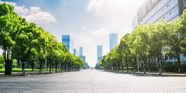 بكالوريوس في هندسة المناظر الطبيعية