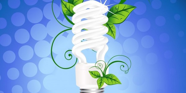 ماجستير العلوم في الاقتصاد البيئي والتخطيط والإدارة عن طريق البحث