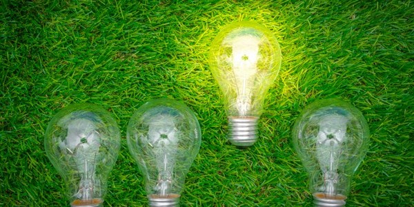 دكتوراه الفلسفة في التربية البيئية عن طريق البحث