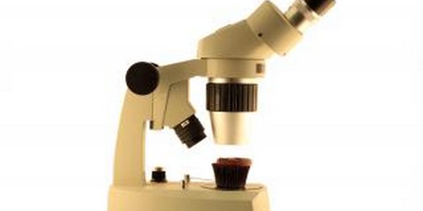 بكالوريوس العلوم مع مرتبة الشرف (التكنولوجيا الحيوية الغذائية)