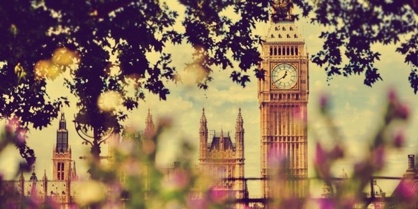 دكتوراه في (دراسة اللغة الإنجليزية) (بحث)