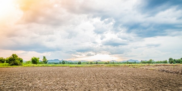 بكالوريوس العلوم (إدارة الأراضي والتنمية)