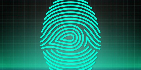 ماجستير في الفلسفة (معالجة الصور ونمط شهادات التقدير) نظام بحث