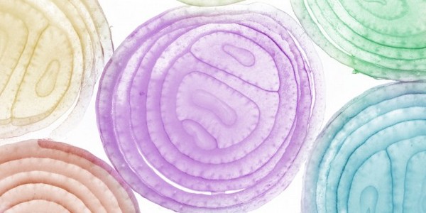 ماجستير في العلوم (العلوم البيولوجية)